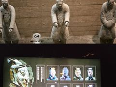 -秦始皇帝陵博物院-丽山园
