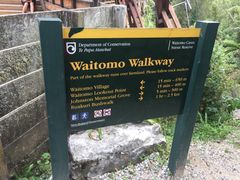 -怀托摩萤火虫洞