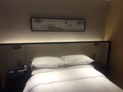 -曙光薇酒店(南京夫子庙老门东店)