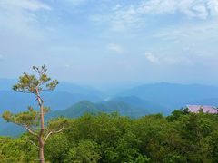 -牛背梁国家森林公园