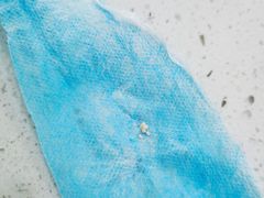 -纳吉亚猫专科动物诊疗中心(蒋宅口分院)