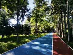 -大兴滨河森林公园