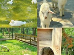 -南戴河国际娱乐中心