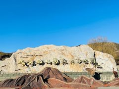 -北京西山国家森林公园