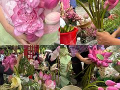 -溪岸路花鸟市场