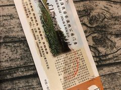 -白渔泡湿地公园