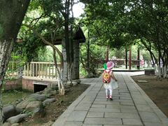 -八大山人梅湖景区