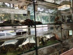 -青竹园海鲜餐厅(海天路店)