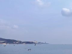 -幸福门