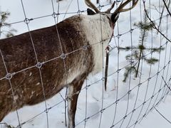 -北极村旅游风景区