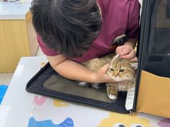 -美联众合动物医院·24h京西诊疗中心