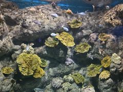 -福州罗源湾海洋世界旅游区
