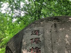 -青岛崂山太清宫