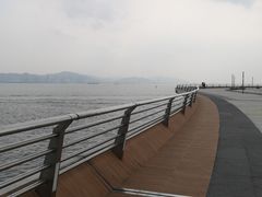 -演武大桥观景平台