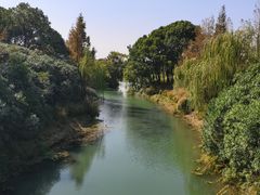 -贡湖湾湿地公园