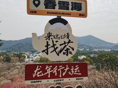 -光福景区