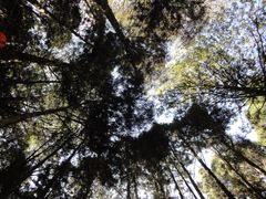 -优游吧斯邹族文化部落