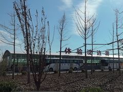 -白洋淀景区