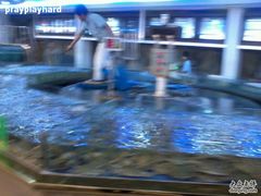 -绿色时代大酒店
