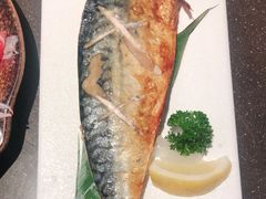 -元气寿司(东方宝泰店)