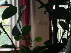 -雕刻时光咖啡馆(交大店)