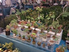 -瑞虹新天地月亮湾