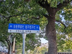 -七宝古镇