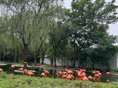 -石家庄市动物园