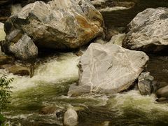 -黑河国家森林公园