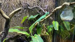 -酷嗒动物文化乐园(cutezoo西溪乐天城店)