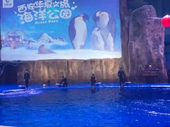 -华夏文旅海洋公园