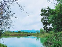 -西溪国家湿地公园