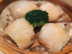 -悦景酒家(罗湖店)