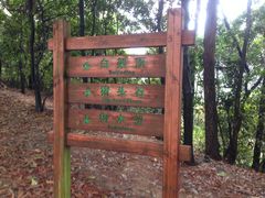 -火炉山森林公园