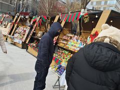 -中粮·祥云小镇