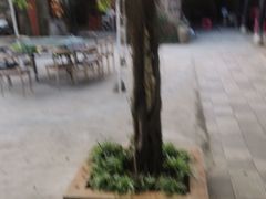 -夏雨路轩特色餐厅·十年经营