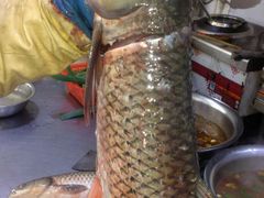 -官厅老勾渔馆(温泉店)