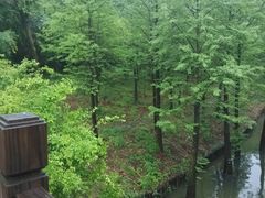 景点-溱湖国家湿地公园