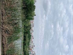-新江湾城公园