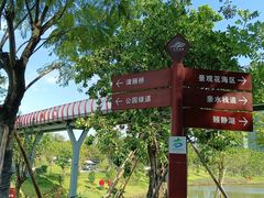 -王借岗森林公园