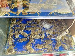 -阳澄湖大闸蟹·琼灵阁牌品牌连锁(吴中总店)