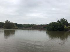 -大湾区中央湿地公园