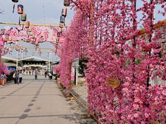 -北京凤凰岭