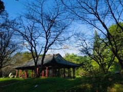 -杭州植物园