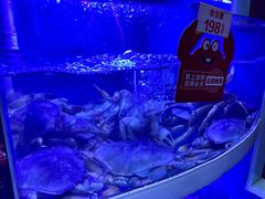 -七欣天香辣蟹火锅(无锡金太湖国际城店)
