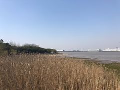 -吴淞炮台湾湿地森林公园烧烤区