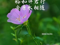 -裕和堂中医推拿艾灸(太古汇臻品店)