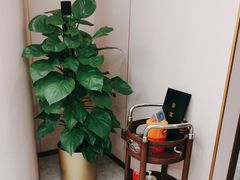 -鲁宴·鲁煨黄河生态大鲤鱼(月坛店)