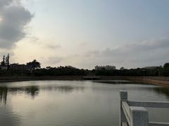 -光明小镇欢乐田园