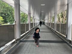 -香港科学馆